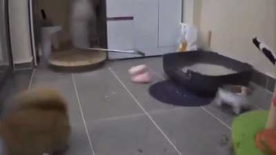 Maybe maybe maybe