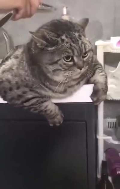 Angry bath