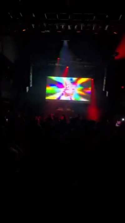 Went to the SpongeBob rave the other night…