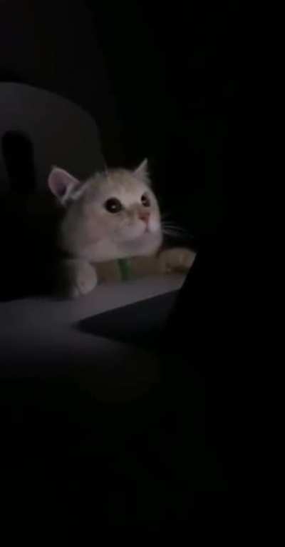 Смотр<wbr>ишь фильм<wbr>ец, а тут..
