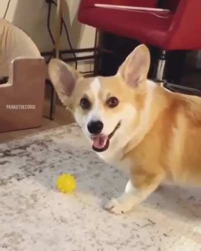 Get that ball