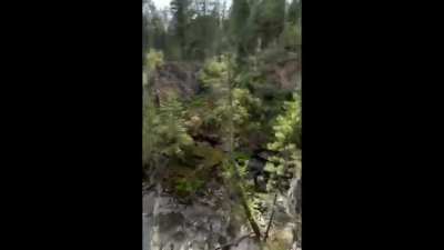 Fintry Provincial Park and Protected Area B C