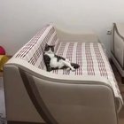 sup ?