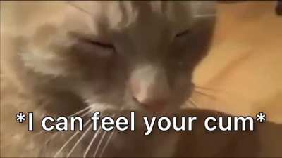 I can feel it