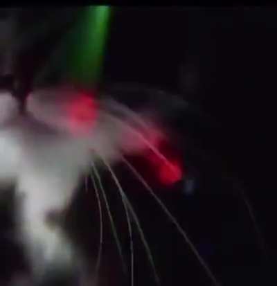 Kitty party