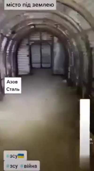 The 