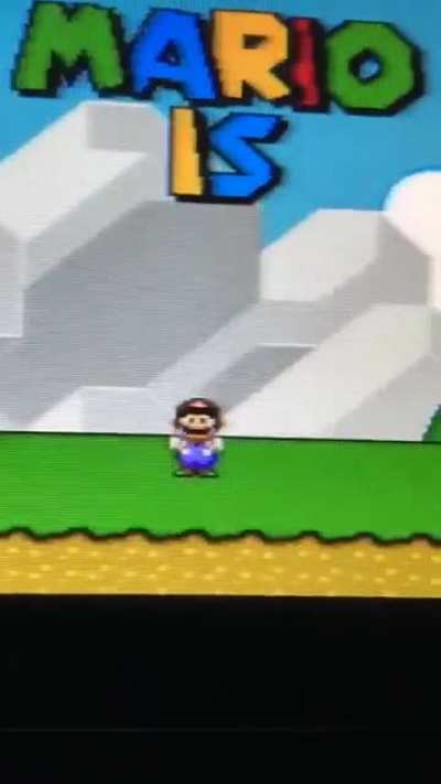 Mario is Missing