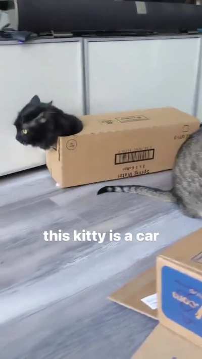 He will be driven