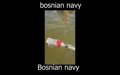 Bosnian
