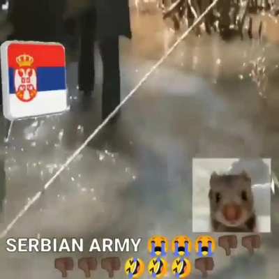 Posted by bosnian deepthroat enjoyers gang 🤤🤤