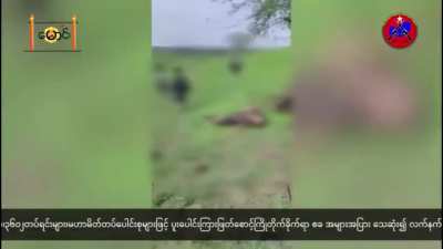 [Myan<wbr>mar/B<wbr>urma] Paungde PDF Battalion-3601 ambushing a junta column in Pyay District, Bago Region, killing at least 11. (June 3-6)