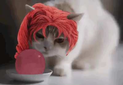 Rero-Rero