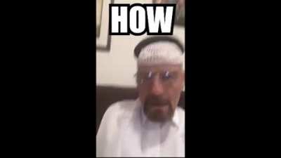 pussy