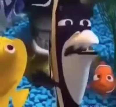 rip NEMO