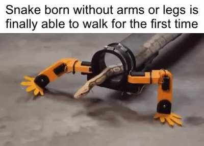 Wholesome moment