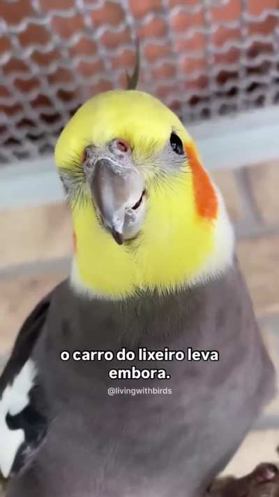 quero