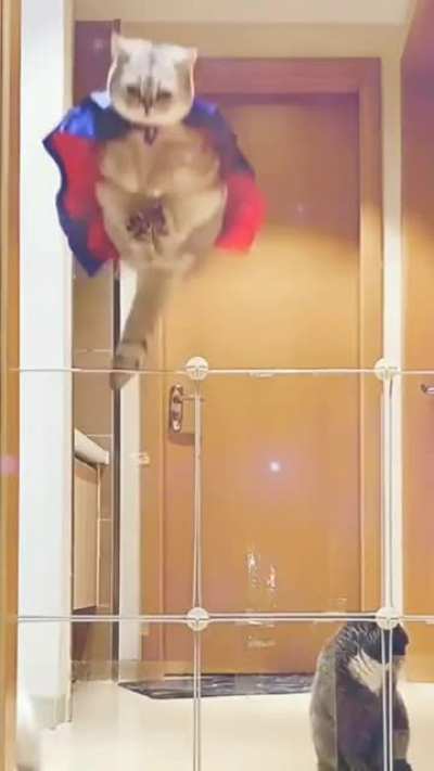Суперкот спешит на помощь