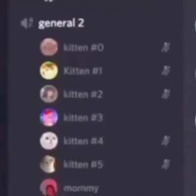Avg discord server