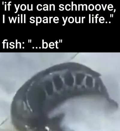 bet 😏🐟
