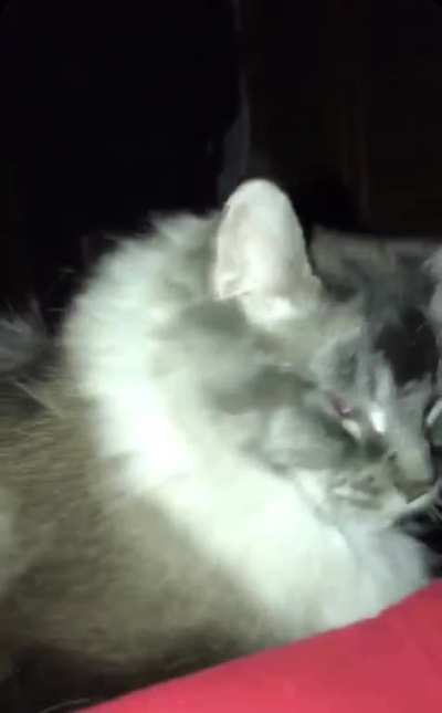Face grab