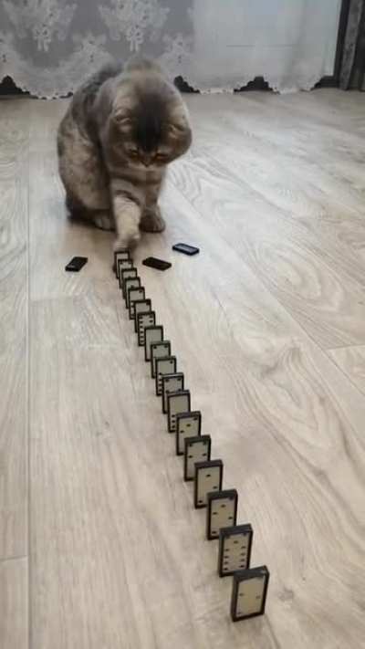 to knock down the dominos one at a time