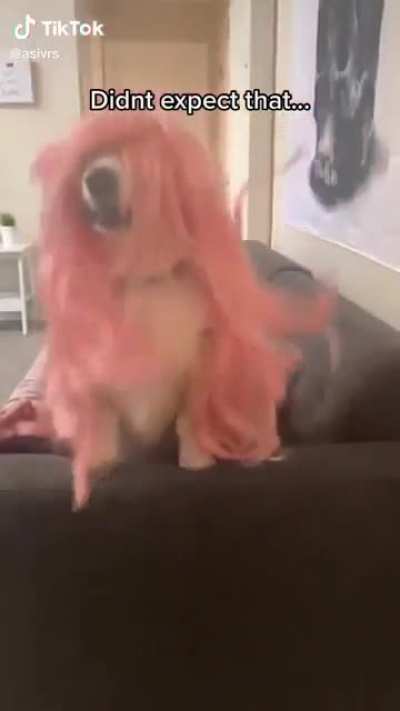 A cutie in pink