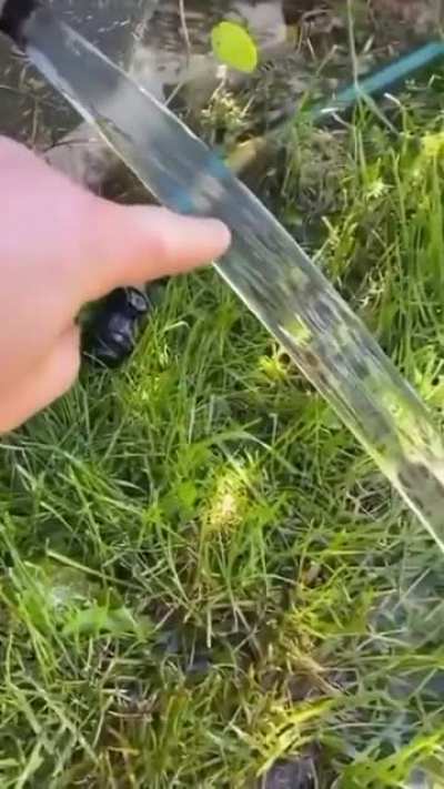 Laminar Flow