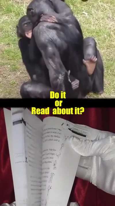 What's your pick?
