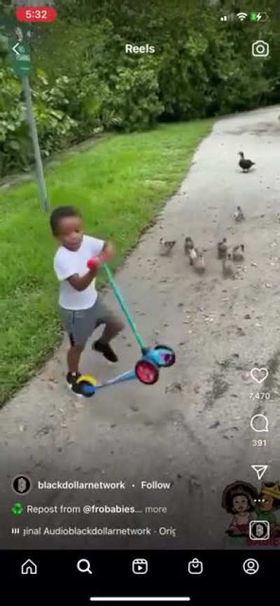 scuse me baby duckies