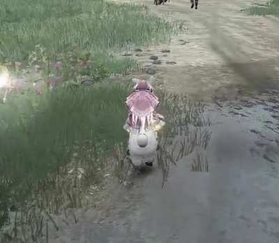 Race car Alpaca :)