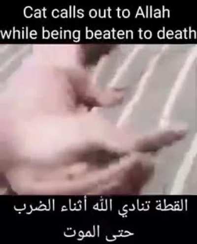 FRICK BINGUS!11!!!1 🤬🤬🤬🤬🤬😤😤