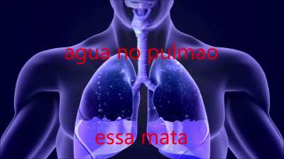 Top 10 águas 💧