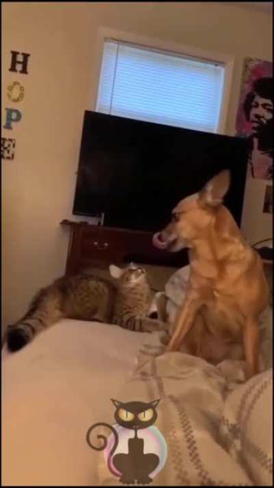 Что смотр<wbr>ишь? Это не я...