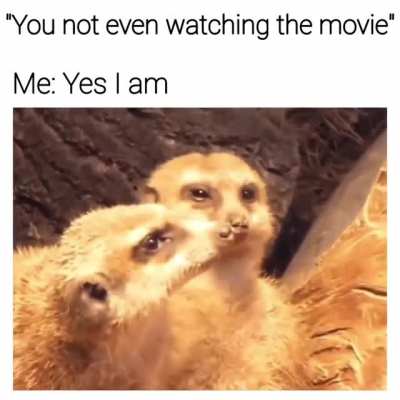 me_irl