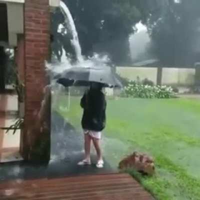 Wonder if the umbrella can take it