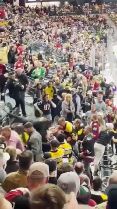 Nice brawl at the Coyotes-Bruins game