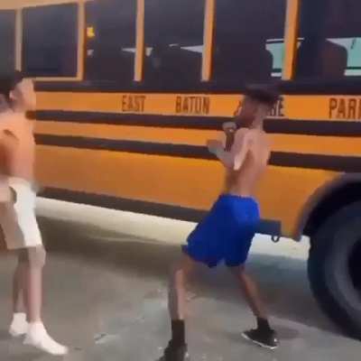 Stickbug fight