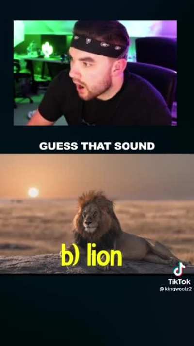 I also screamed when i saw its eyes.