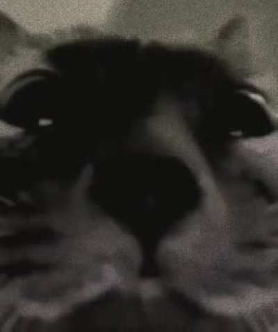 👁️👁️