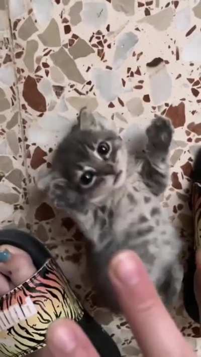 how can i go to work