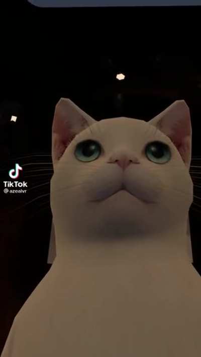 Meowwh