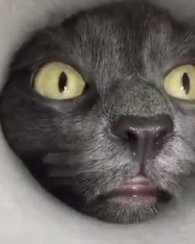 Squeezin' in