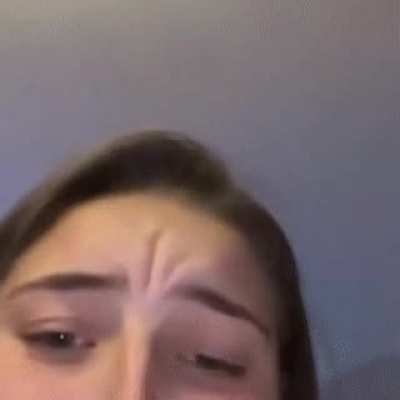 Blursed hamster