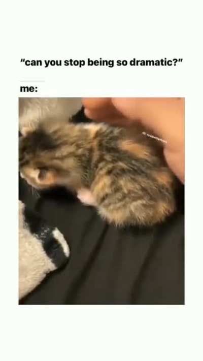 maeeeeeee