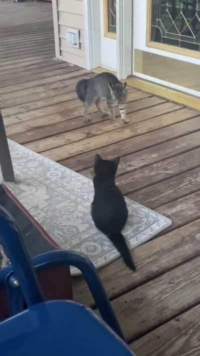 We’ve got a wild one!