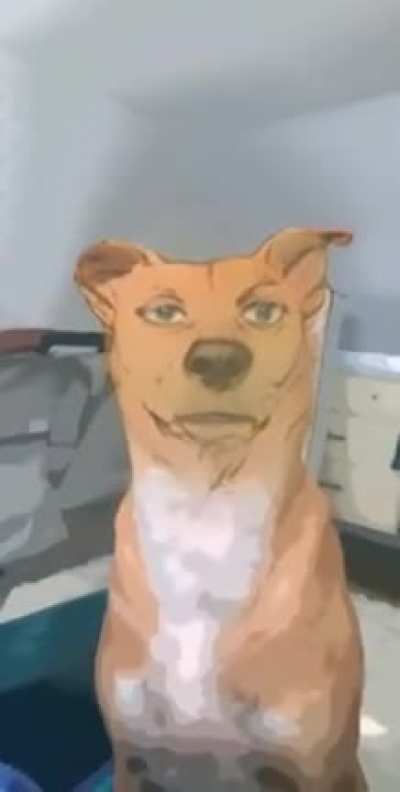 Couldn't stop laughing at the anime sc filter on my dog.