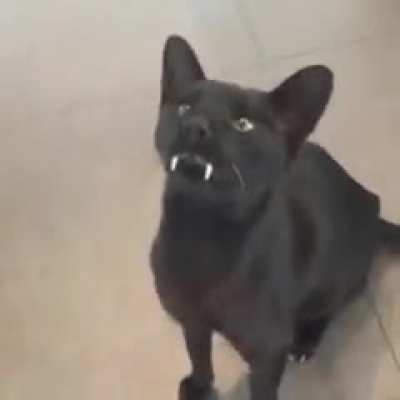 Сааань, жрать хочу
