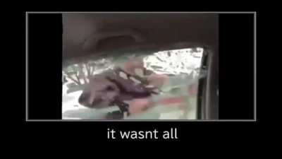 it wasn't all