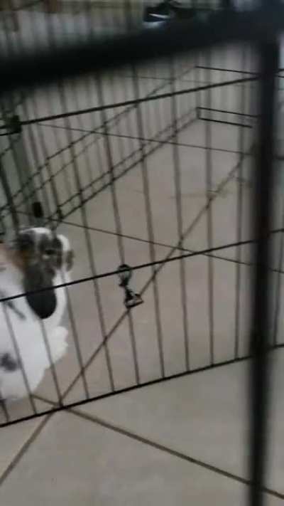 She is so feisty!