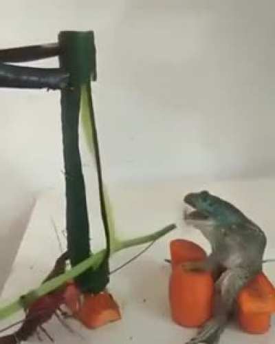Thanks, I hate animal band